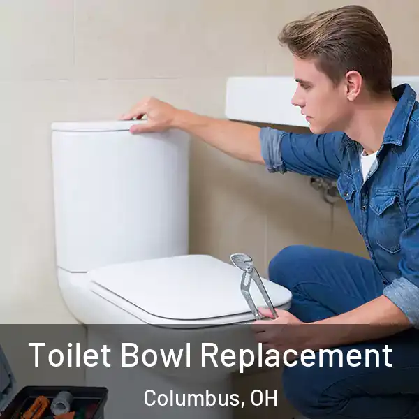  Toilet Bowl Replacement Columbus, OH